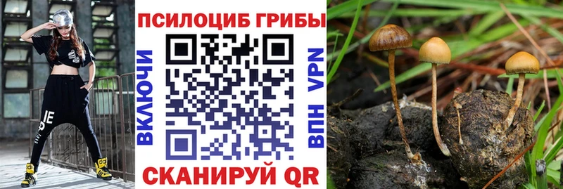 Купить  Дюртюли  Галлюциногенные грибы прущие грибы 